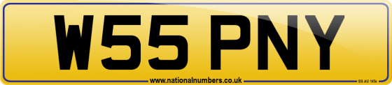 W55 PNY