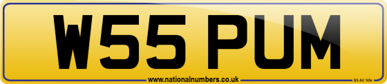 W55 PUM