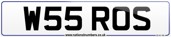 W55 ROS