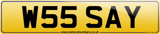 W55 SAY