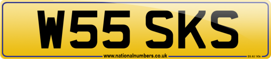 W55 SKS