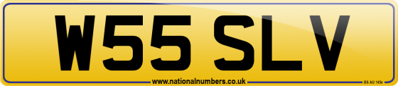 W55 SLV