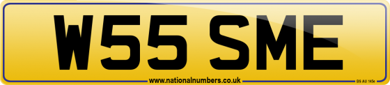 W55 SME