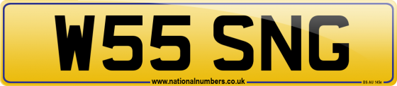 W55 SNG
