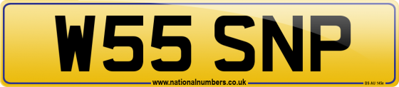 W55 SNP