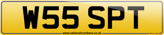 W55 SPT