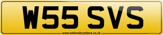 W55 SVS