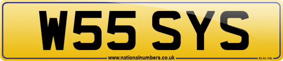W55 SYS