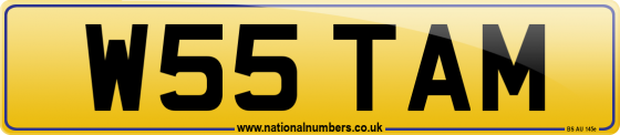 W55 TAM