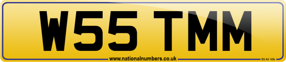 W55 TMM
