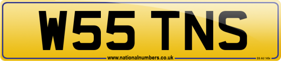 W55 TNS