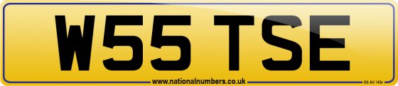 W55 TSE
