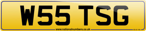 W55 TSG