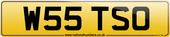 W55 TSO