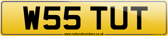 W55 TUT