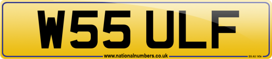W55 ULF