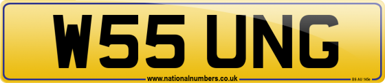 W55 UNG