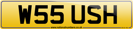 W55 USH