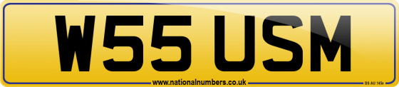 W55 USM