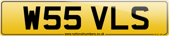 W55 VLS