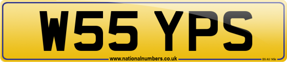 W55 YPS