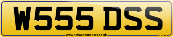 W555 DSS