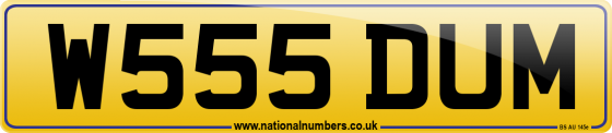 W555 DUM