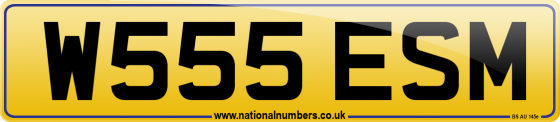 W555 ESM