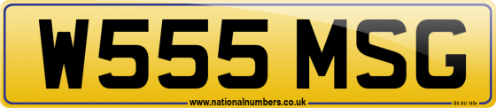 W555 MSG