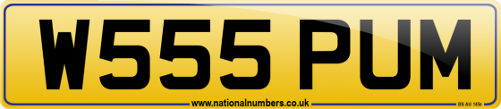 W555 PUM