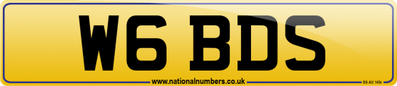 W6 BDS