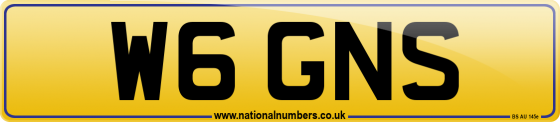 W6 GNS