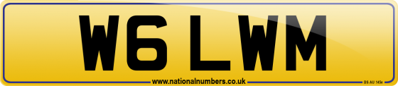 W6 LWM