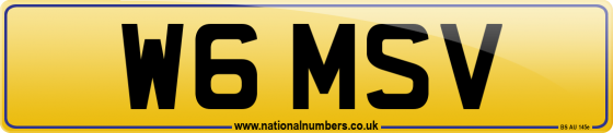W6 MSV