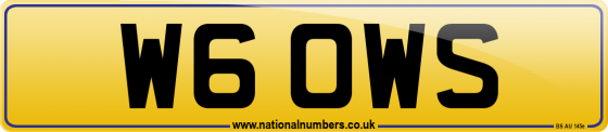 W6 OWS