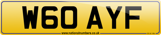 W60 AYF