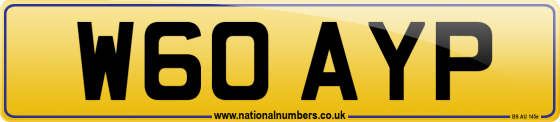 W60 AYP