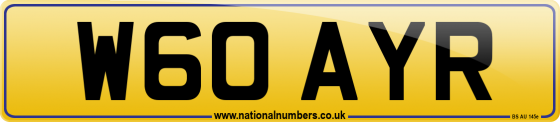 W60 AYR