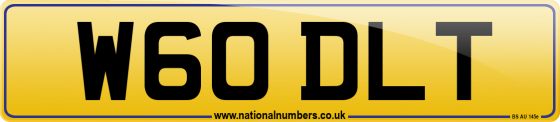 W60 DLT