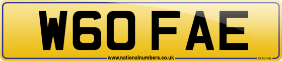 W60 FAE