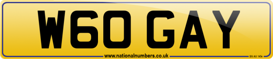 W60 GAY