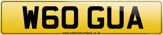 W60 GUA
