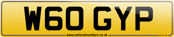 W60 GYP