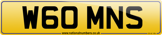 W60 MNS