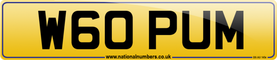 W60 PUM