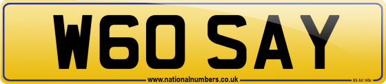 W60 SAY