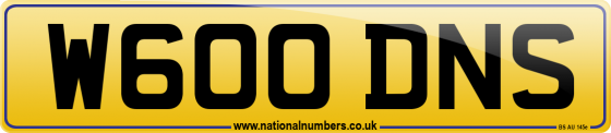 W600 DNS