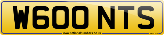 W600 NTS