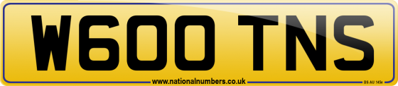 W600 TNS