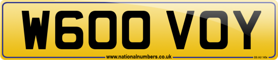 W600 VOY